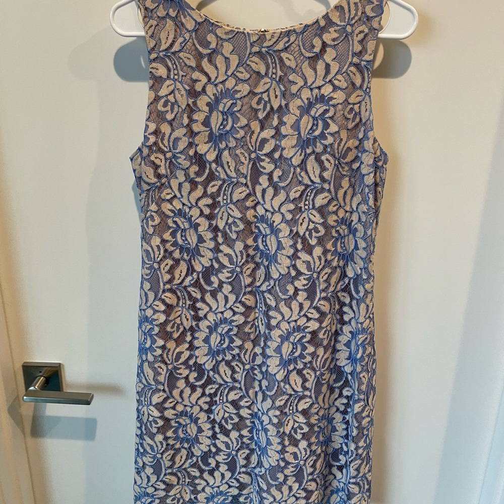 Eliza J Blue and Cream Floral Lace Mini Dress